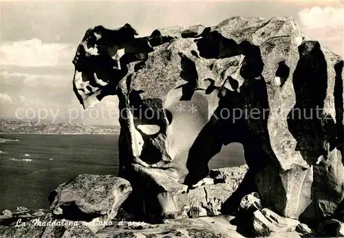 La Maddalena Capo d Orso Felsen Kat. La Maddalena