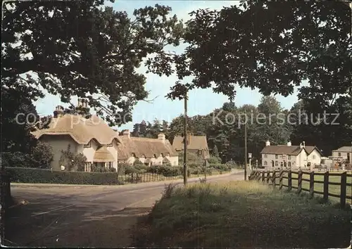 Swan Green Peaceful scene in the New Forest Cottages