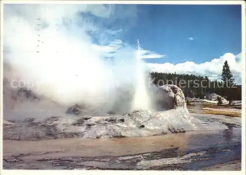 Geysire Vulcans Geysers Vulkane Yellowstone National Park Grotto Geyser  Kat. Natur