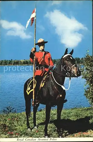 Polizei Royal Canadian Mounted Police Horse  Kat. Polizei