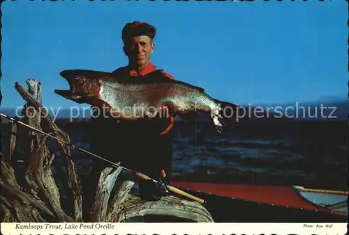 Fische Kamloops Trout Lake Pend Oreille  Kat. Tiere