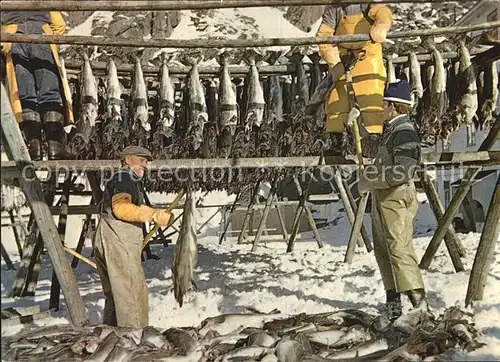 Fischerei Norway Drying fish  Kat. Handwerk