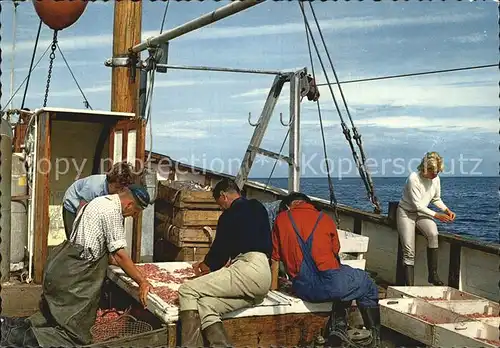 Fischerei Garnelen Vaestkusten Raekfiske Kat. Handwerk