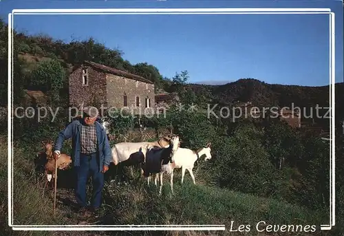 Ziege Les Cevennes Depart pour le Paturage  Kat. Tiere