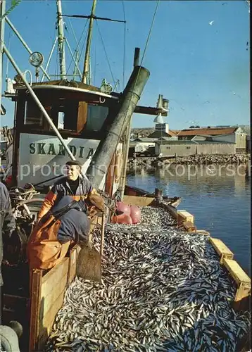 Fischerei Havets silver lossas Schweden  Kat. Handwerk