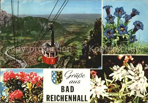 Seilbahn Bad Reichenhall Edelweiss Enzian Alpenrosen  Kat. Bahnen