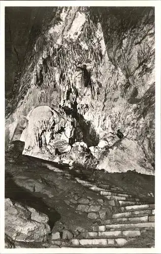 Hoehlen Caves Grottes Han sur Lesse Salle du Trophee Kat. Berge