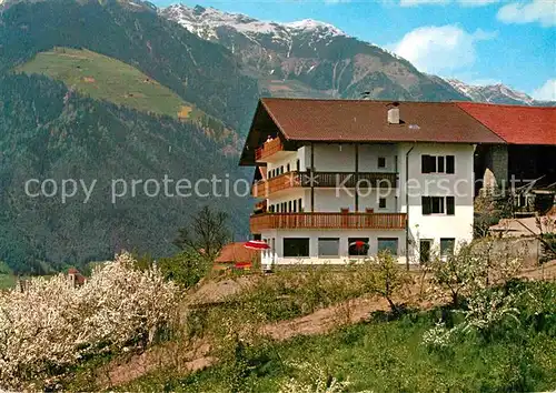 Schenna Meran Garni Nunnemairhof Baumbluete Alpen Kat. Italien