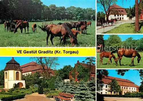 Graditz VE Gestuet Vollblutpferde Kat. Torgau