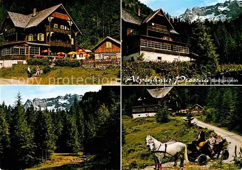 Prossau Alpenhaus Kat. Oesterreich