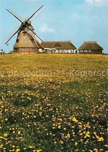 Dorf Mecklenburg Erdhollaendermuehle Restaurant Kat. Dorf Mecklenburg