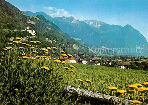 Vaduz Liechtenstein Landesfuerstliche Residenz