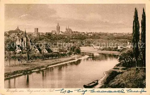 Wimpfen Panorama  Kat. Bad Wimpfen