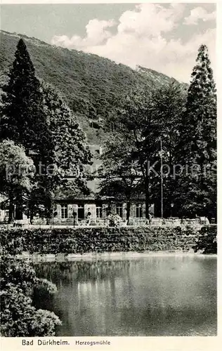 Duerkheim Bad Herzogsmuehle Kat. Bad Duerkheim