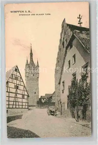 Wimpfen Steinhaus Blauer Turm  Kat. Bad Wimpfen