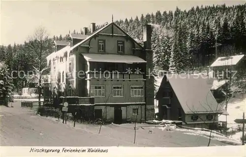 Hirschsprung Ferienhaus Waldhaus Kat. Altenberg