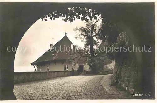 Tuebingen Schlosspartie Jugendherberge mit alter Linde Kat. Tuebingen