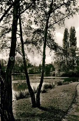 Hoechst Main Stadtpark Kat. Frankfurt am Main