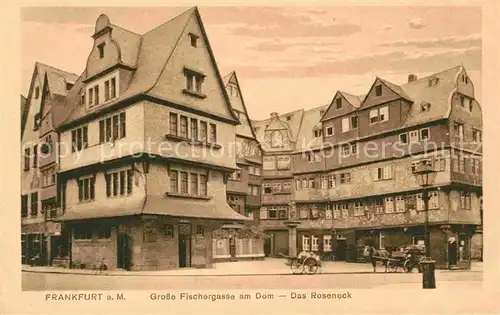 Frankfurt Main Grosse Fischergasse Dom Roseneck Kat. Frankfurt am Main