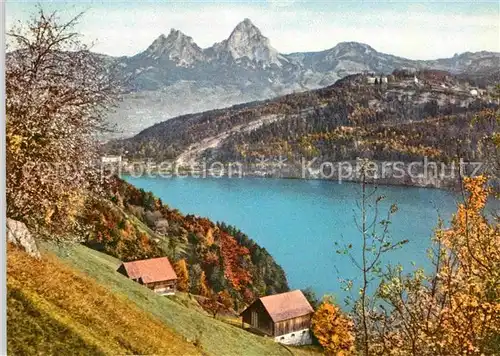 Seelisberg UR Urnersee und Mythen Kat. Seelisberg