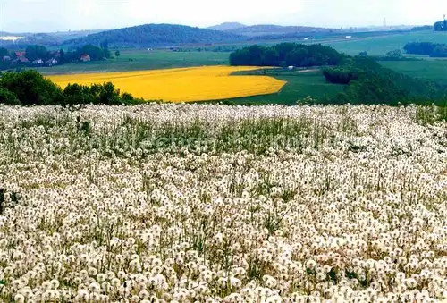 Liebstadt Panorama Kat. Liebstadt