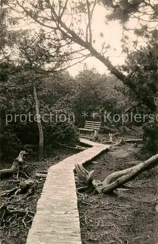 Georgenfeld Hochmoor Naturschutzgebiet Kat. Zinnwald Georgenfeld