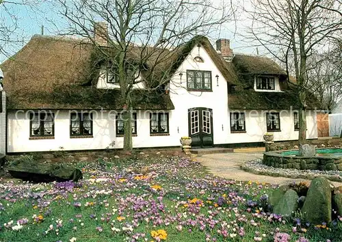 Insel Sylt altes Reetdachhaus Kat. Westerland