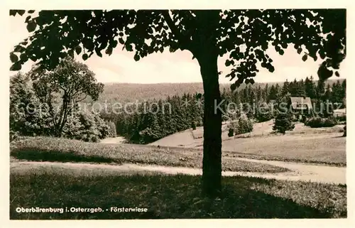 Oberbaerenburg Foersterwiese