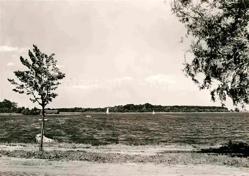 Malchow Uferpartie am Fleesensee Kat. Malchow Mecklenburg