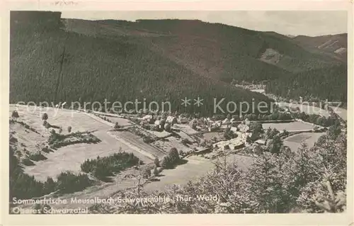 Schwarzmuehle Sommerfrische Oberes Schwarzatal Kat. Meuselbach Schwarzmuehle