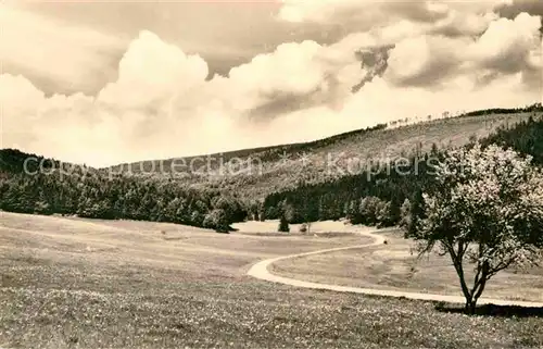 Schmiedefeld Rennsteig Landschaftspanorama Oberes Vessertal Kat. Schmiedefeld Rennsteig