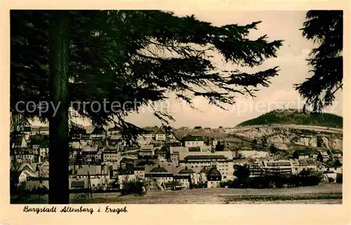 Altenberg Erzgebirge Ansicht vom Waldrand aus Kat. Geising