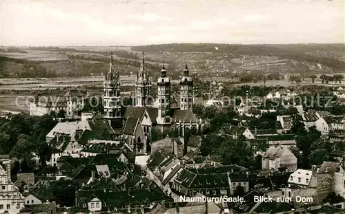 Naumburg Saale Blick zum Dom Kat. Naumburg