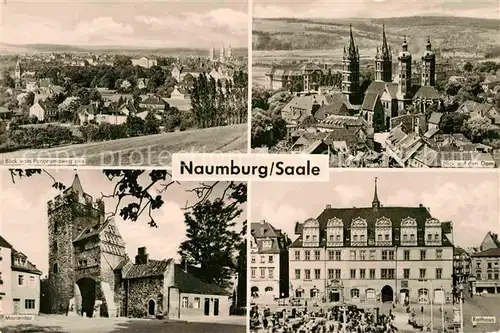 Naumburg Saale Blick vom Panoramaweg Stadtbild mit Dom Rathaus Marientor Kat. Naumburg