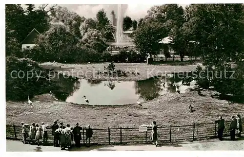 Frankfurt Main Zoologischer Garten Blick auf Vogelwiese und grossen Weiher Kat. Frankfurt am Main