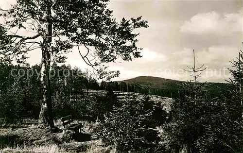 Schmiedefeld Rennsteig Blick von der Schoenen Aussicht Kat. Schmiedefeld Rennsteig