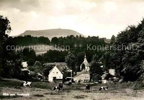 Lueckendorf Blick zum Hochwald Kat. Kurort Oybin