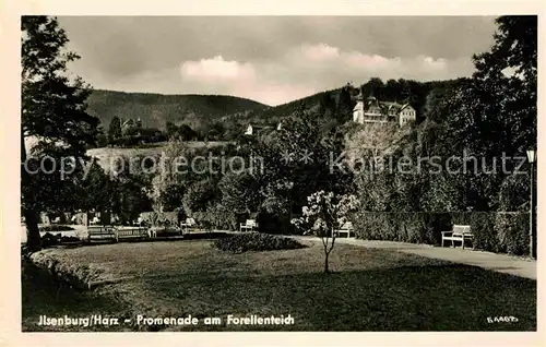 Ilsenburg Harz Promenade Forellenteich Kat. Ilsenburg Harz