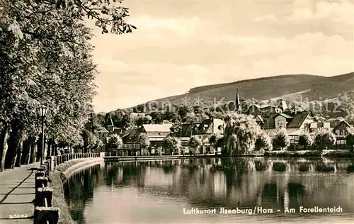 Ilsenburg Harz Forellenteich Kat. Ilsenburg Harz