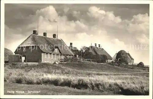 Hallig Hooge Schulwarf Kat. Hooge