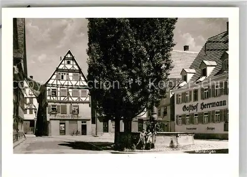 Muensingen Gasthaus Herrmann Brunnen Kat. Muensingen