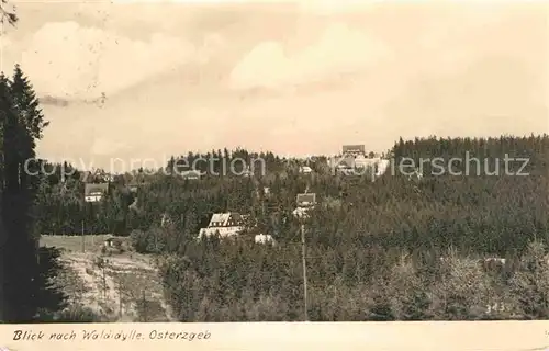 Waldidylle Panorama Kat. Altenberg