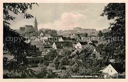 Dahlen Sachsen Panorama Kat. Dahlen Sachsen