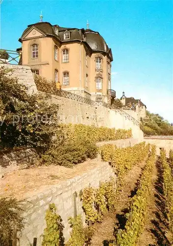 Dornburg Saale Rokokoschloss  Kat. Dornburg Saale