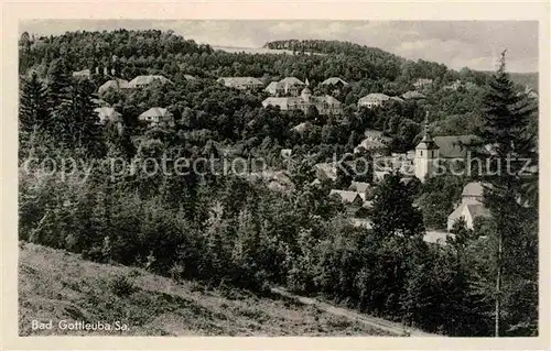 Bad Gottleuba Berggiesshuebel Panorama Kat. Bad Gottleuba Berggiesshuebel