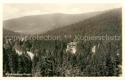 Waldbaerenburg Panorama Leo Heim Kat. Altenberg