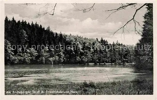 Friedrichsbrunn Harz Erichsburger Teich Kat. Friedrichsbrunn