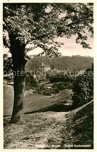 Liebstadt Landschaftspanorama mit Schloss Kuckuckstein Kat. Liebstadt