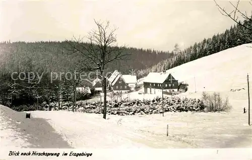 Hirschsprung Teilansicht  Kat. Altenberg