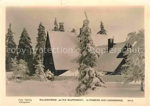 Altenberg Erzgebirge Waldschaenke Altes Raupennest Kat. Geising